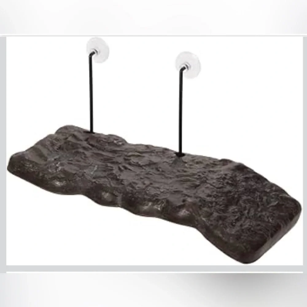 Turtle Dock - Medium - Picture 3 of 4